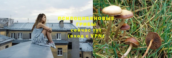 ГАЛЛЮЦИНОГЕННЫЕ ГРИБЫ Арсеньев